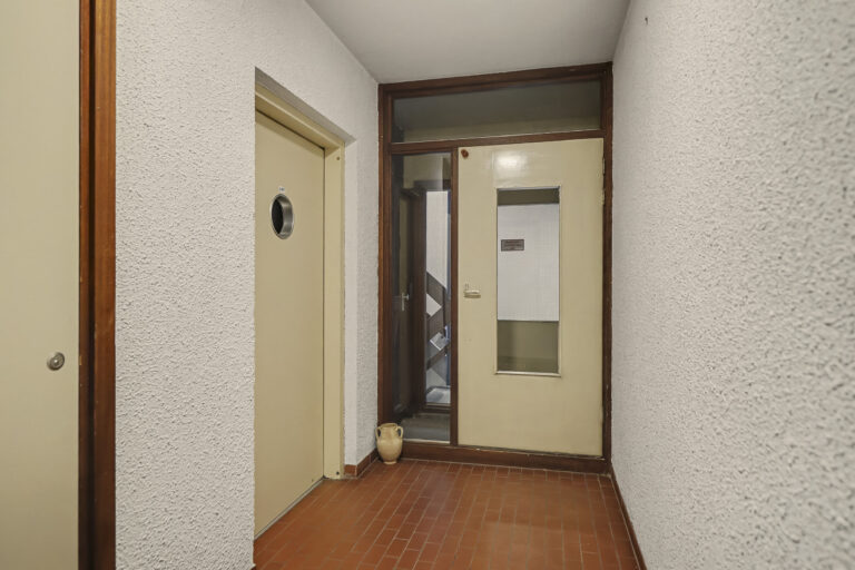 291337877